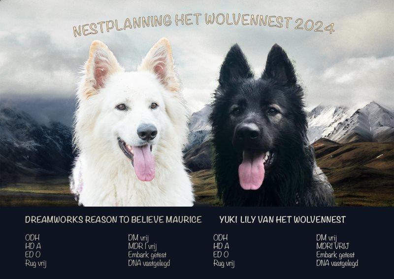 Nestplanning 2024 - Oudduitse Herder